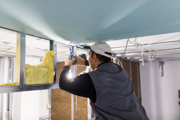 Best Fiberglass Insulation in Newk, AR