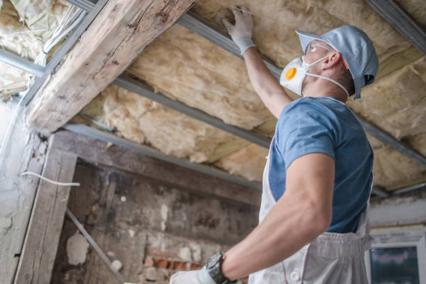 Best Residential Insulation in Newk, AR