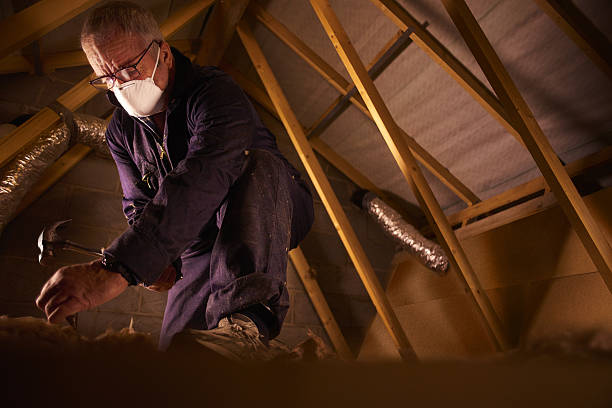 Best Geographic-Specific Insulation Services in Newk, AR